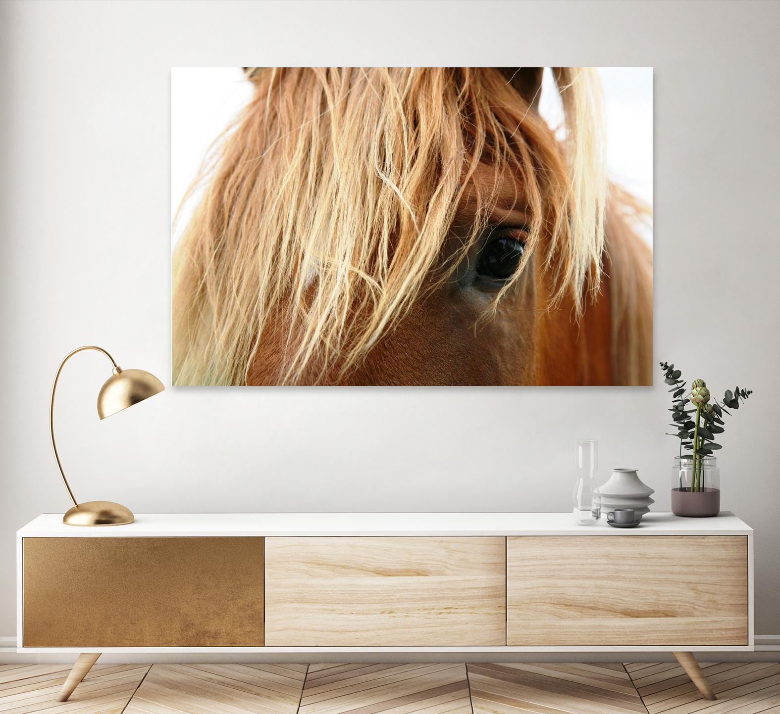 Horsey by Pexels on GIANT ART - white animals