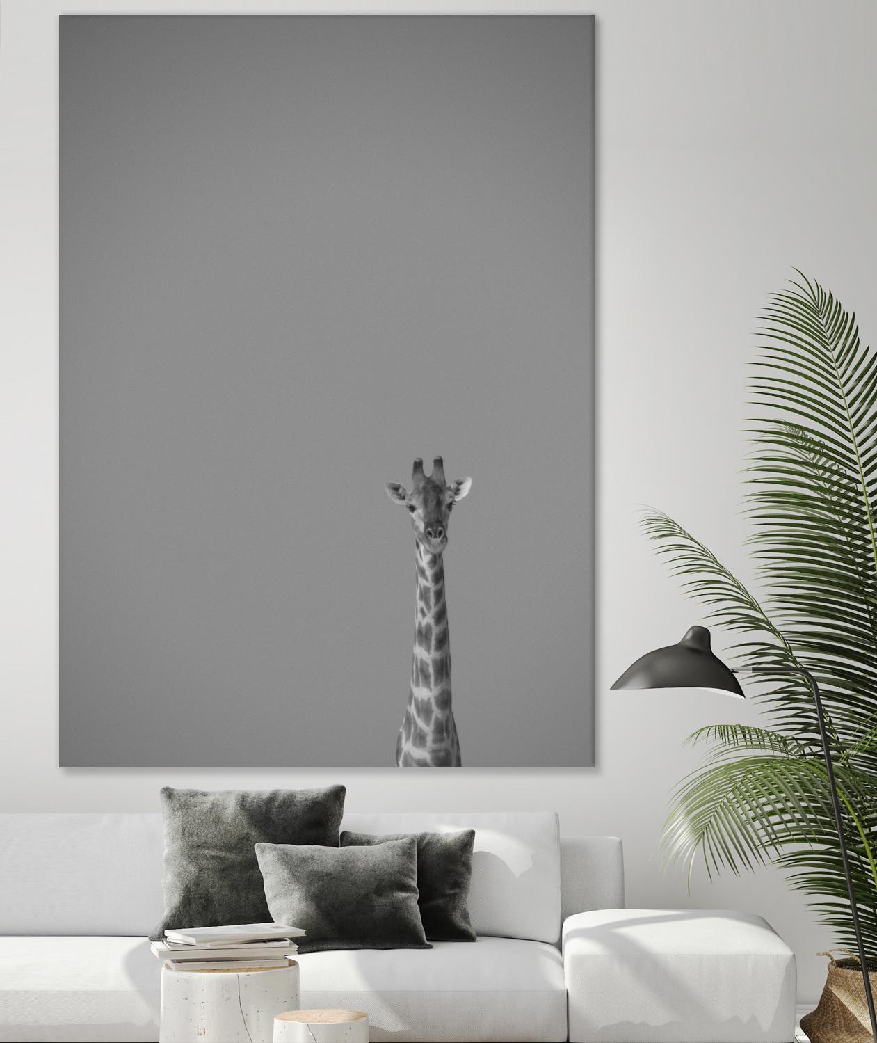 Hello there by Pexels on GIANT ART - black animals