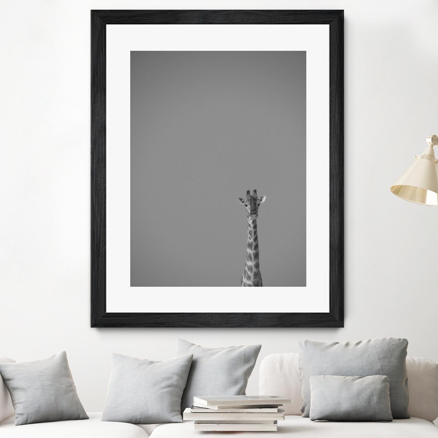 Hello there by Pexels on GIANT ART - black animals