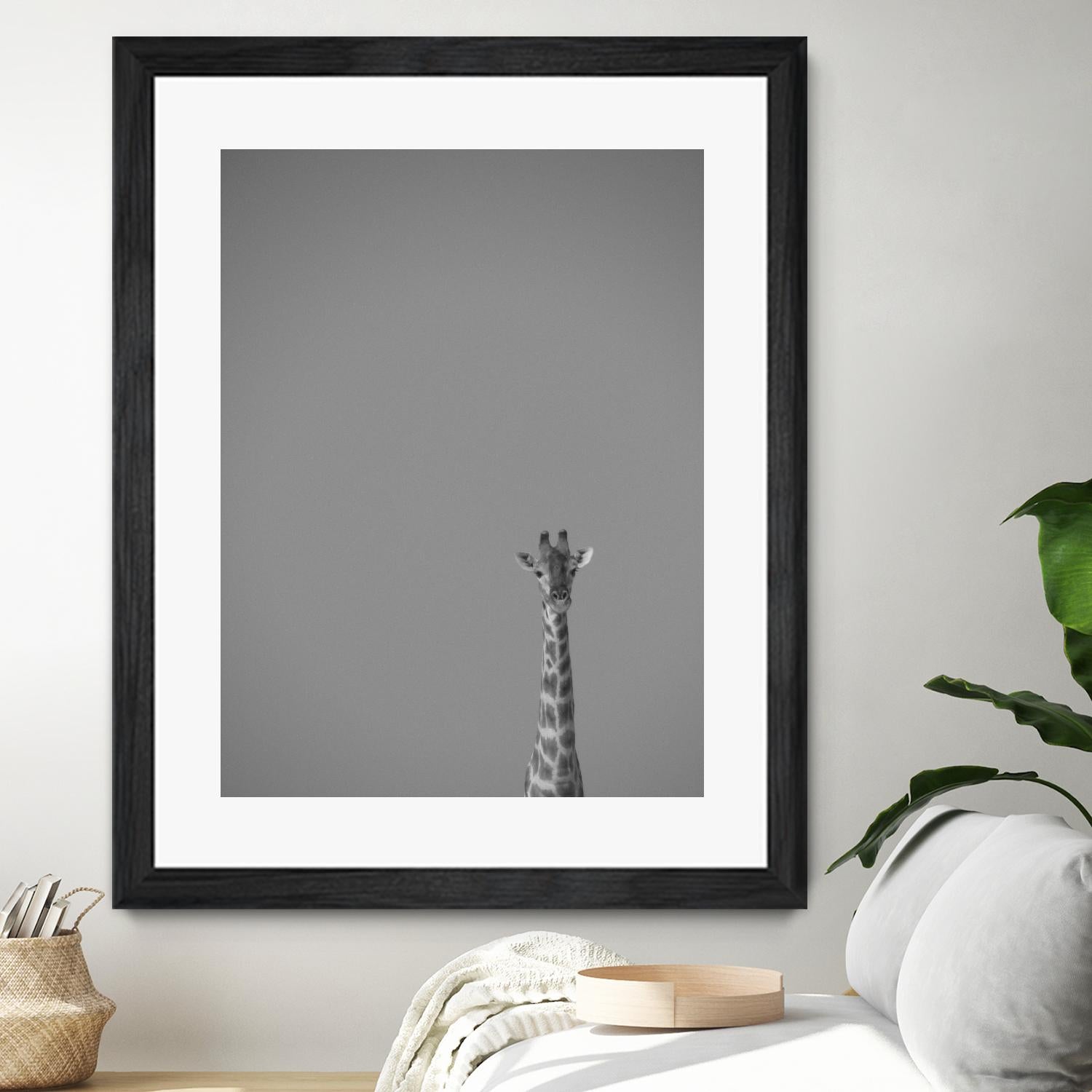 Hello there by Pexels on GIANT ART - black animals