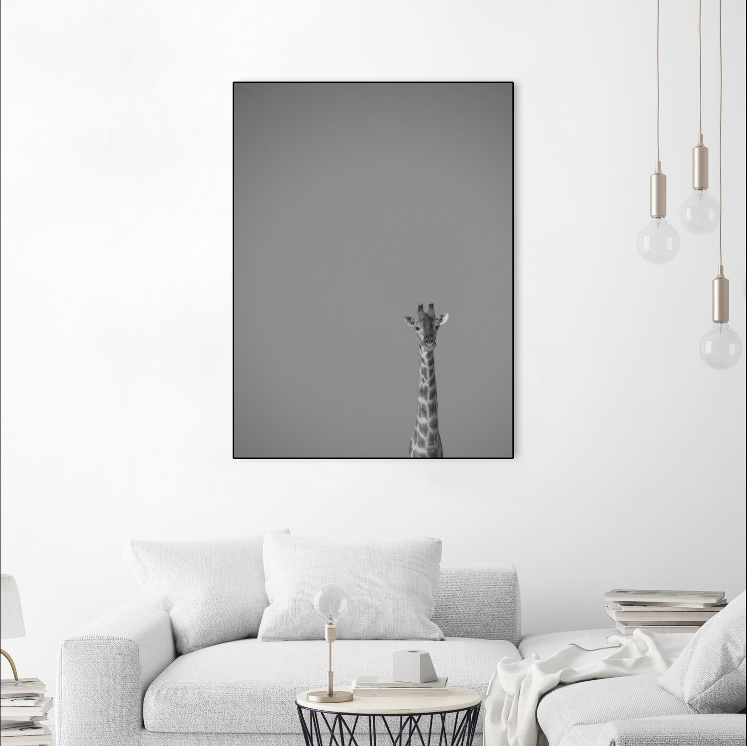 Hello there by Pexels on GIANT ART - black animals