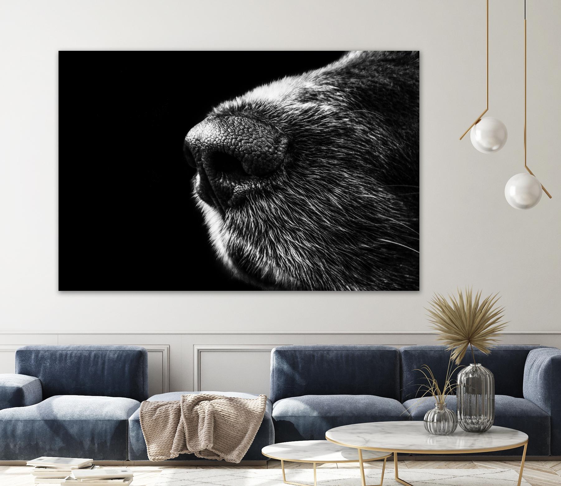 Dog nose by Pexels on GIANT ART - white animals