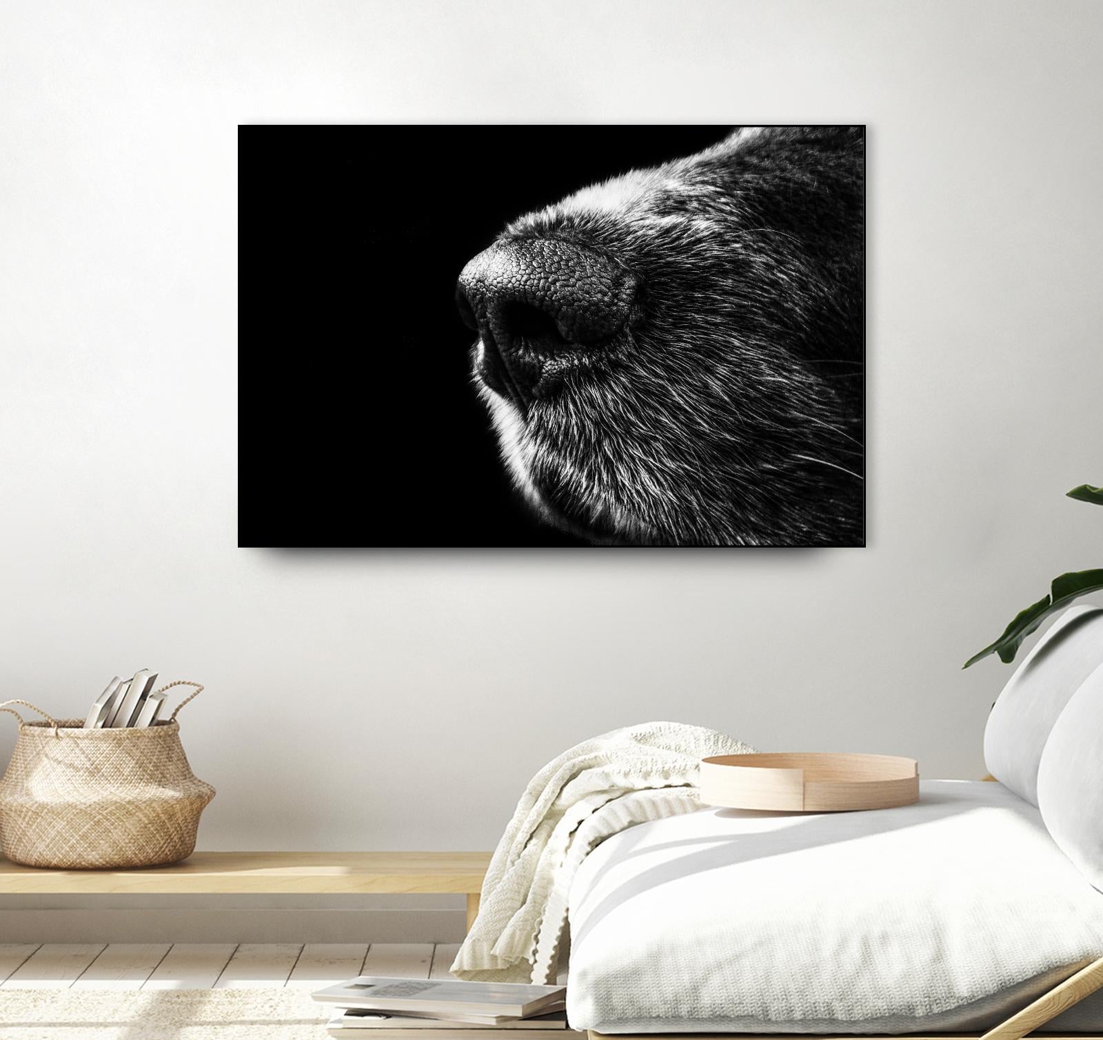 Dog nose by Pexels on GIANT ART - white animals