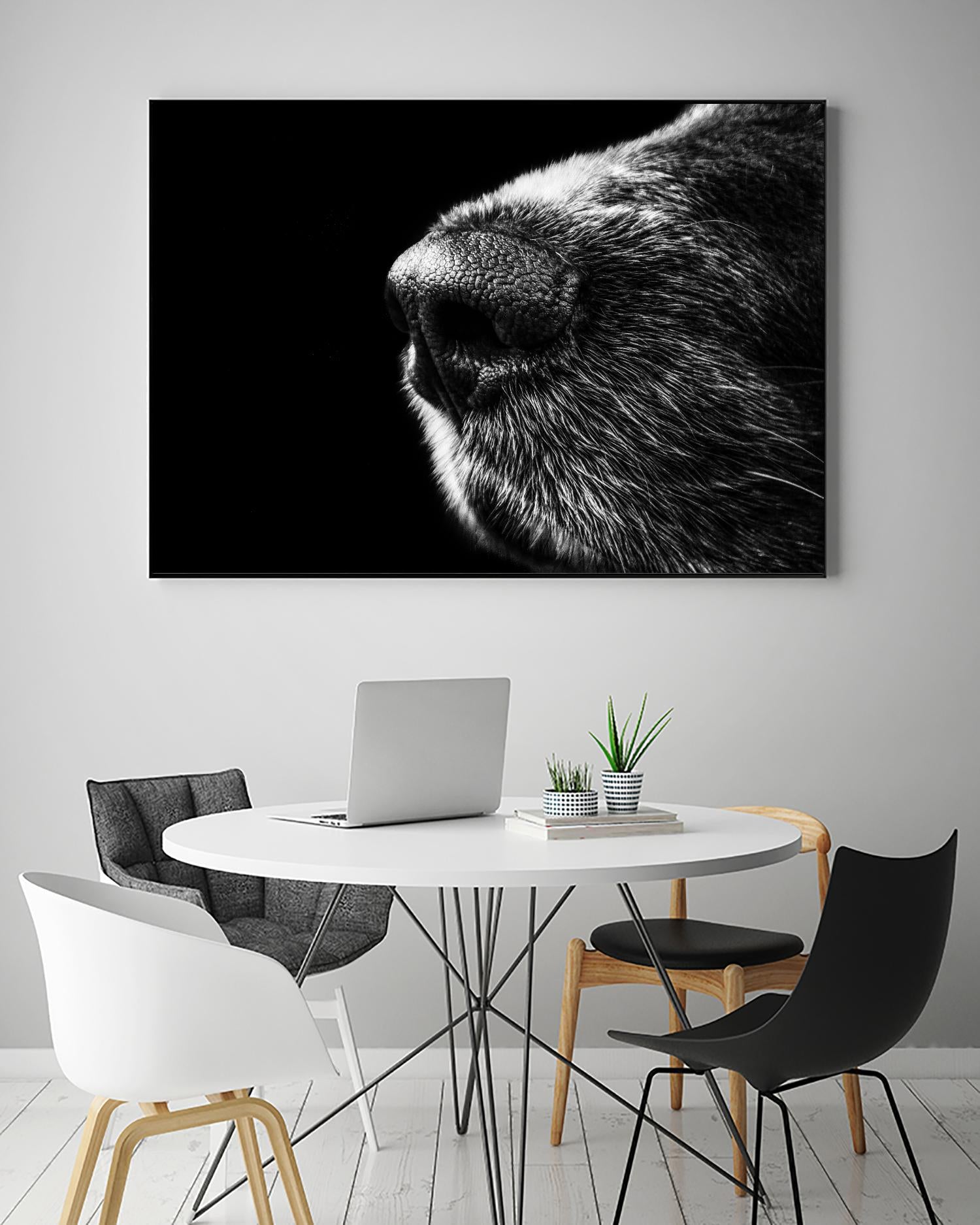 Dog nose by Pexels on GIANT ART - white animals