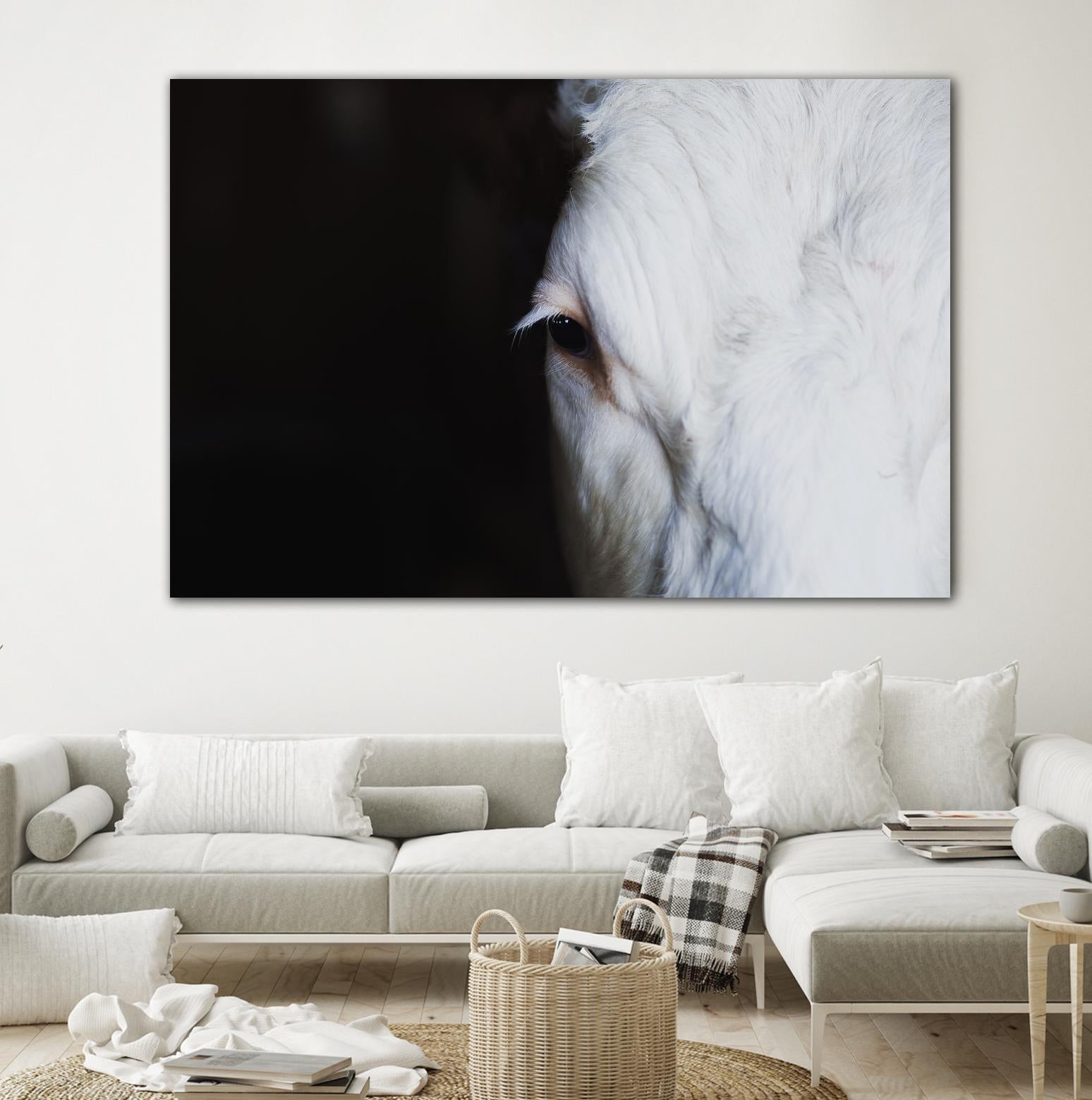 Marguerite by Pexels on GIANT ART - white animals