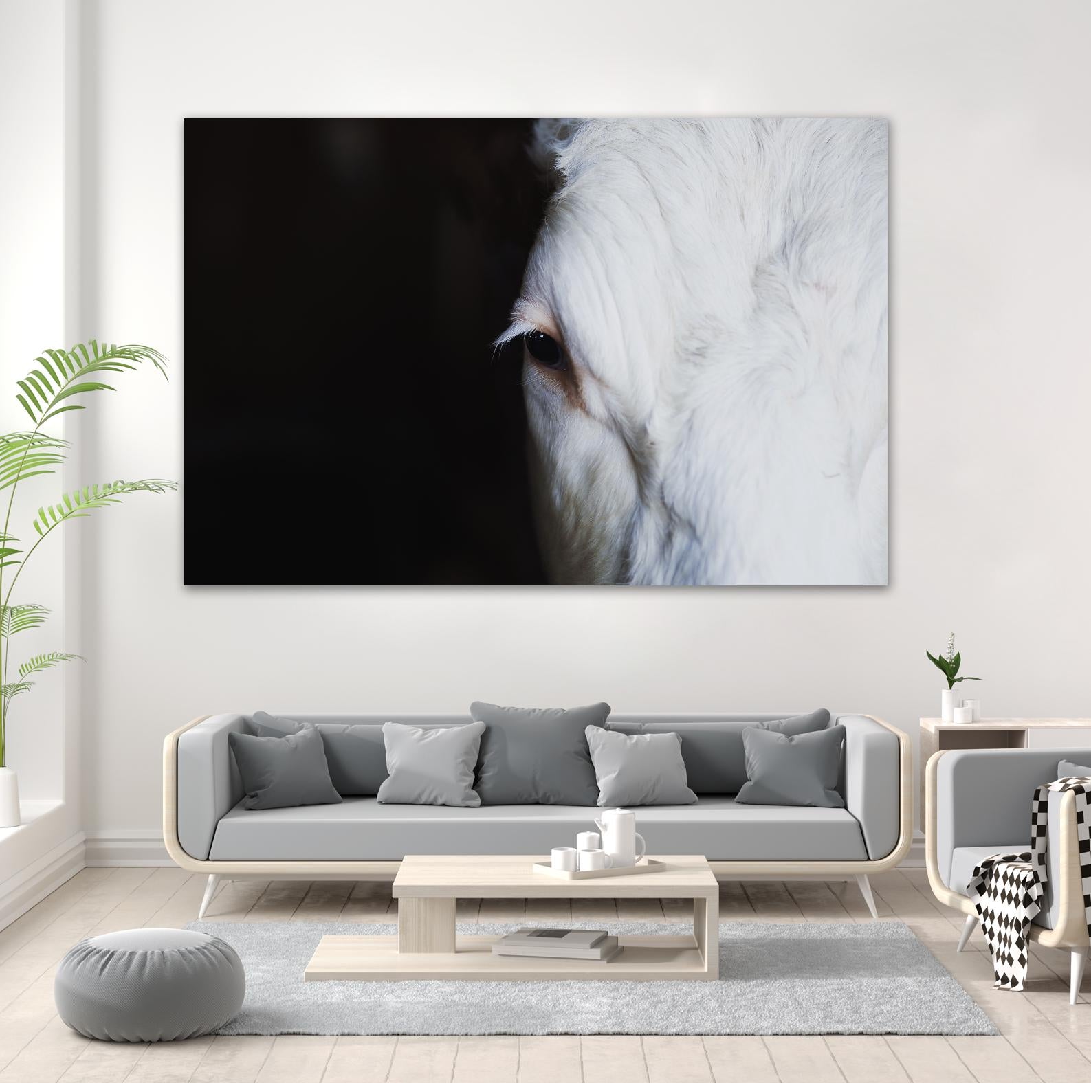 Marguerite by Pexels on GIANT ART - white animals