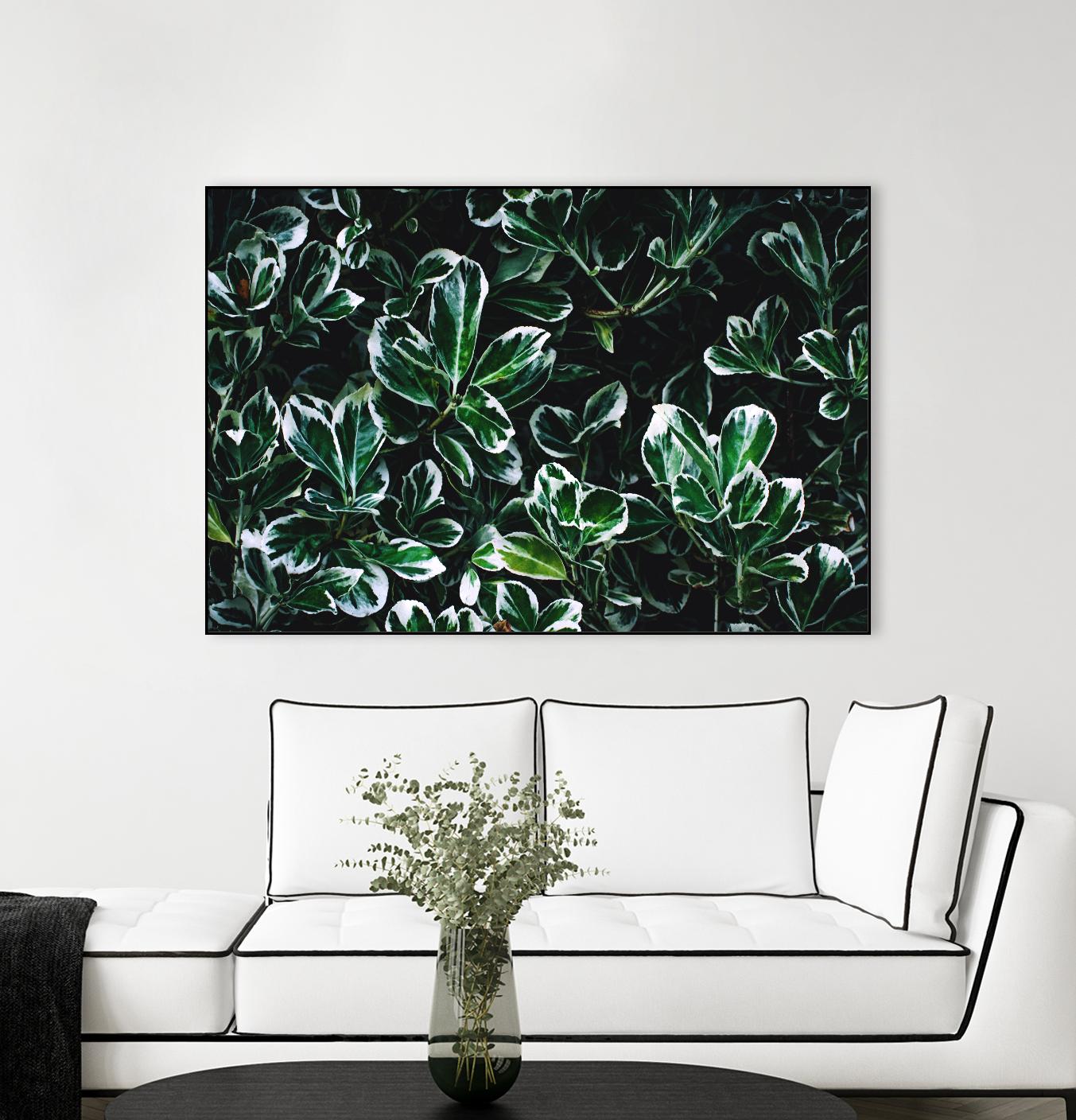 Colored leaves by Pexels on GIANT ART - white botany