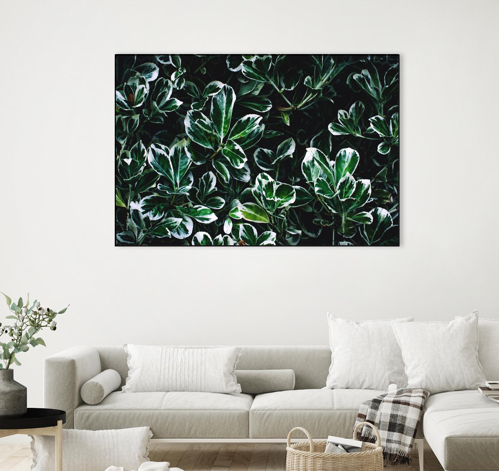 Colored leaves by Pexels on GIANT ART - white botany