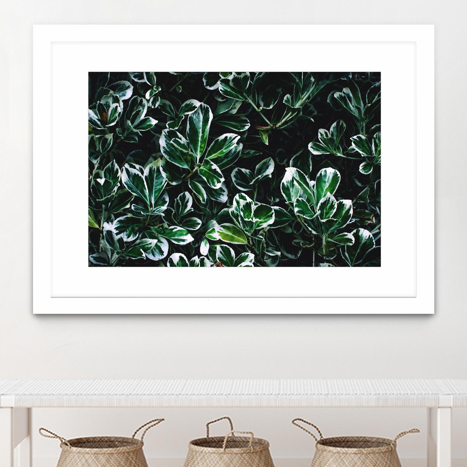 Colored leaves by Pexels on GIANT ART - white botany