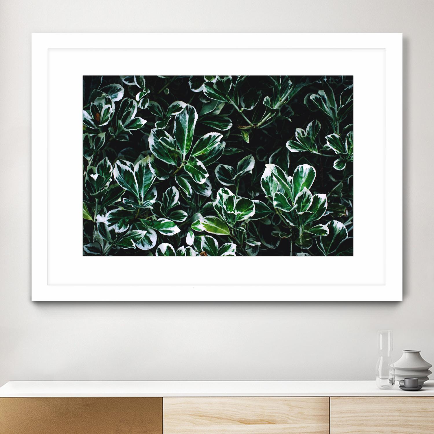 Colored leaves by Pexels on GIANT ART - white botany