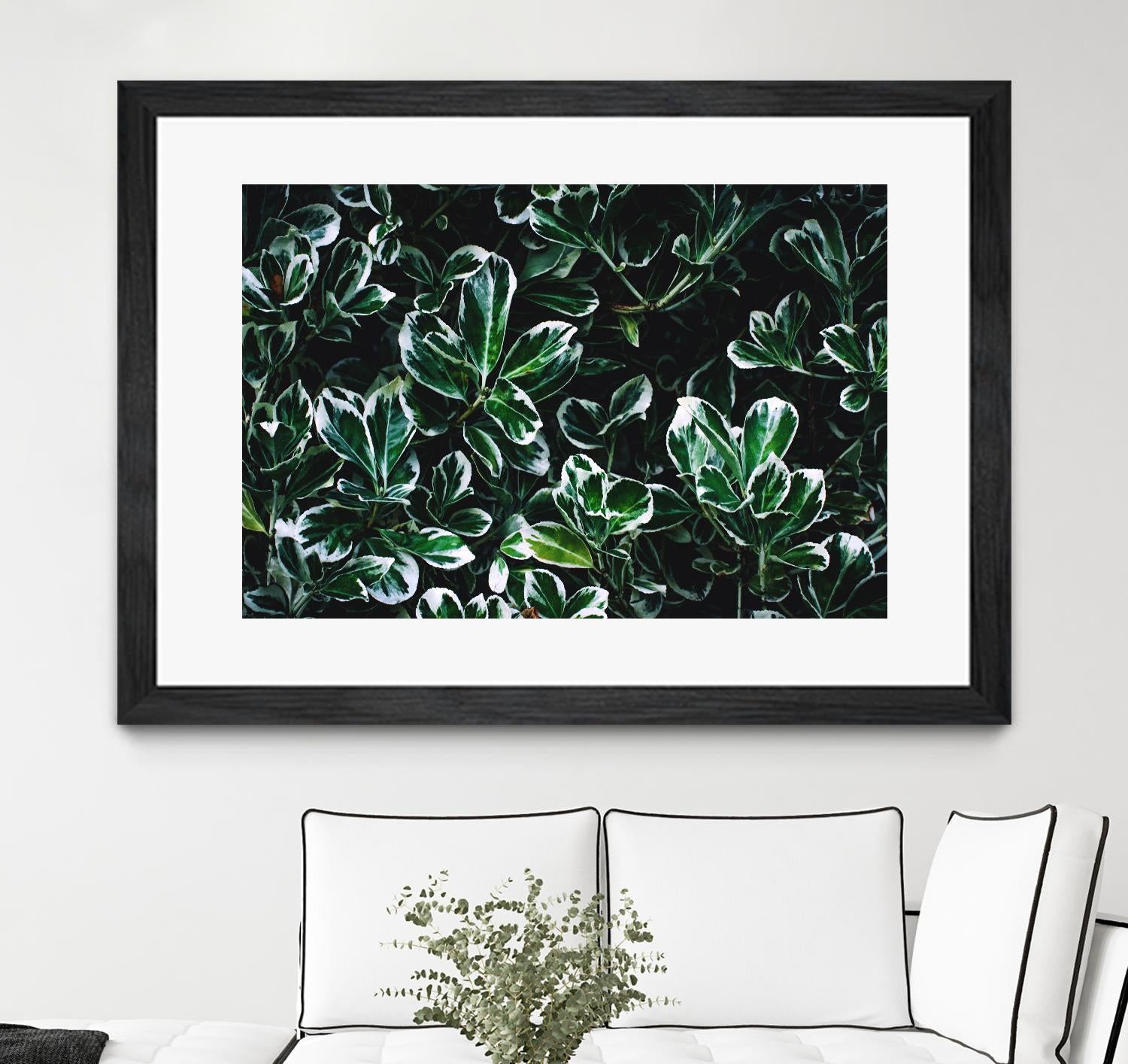 Colored leaves by Pexels on GIANT ART - white botany