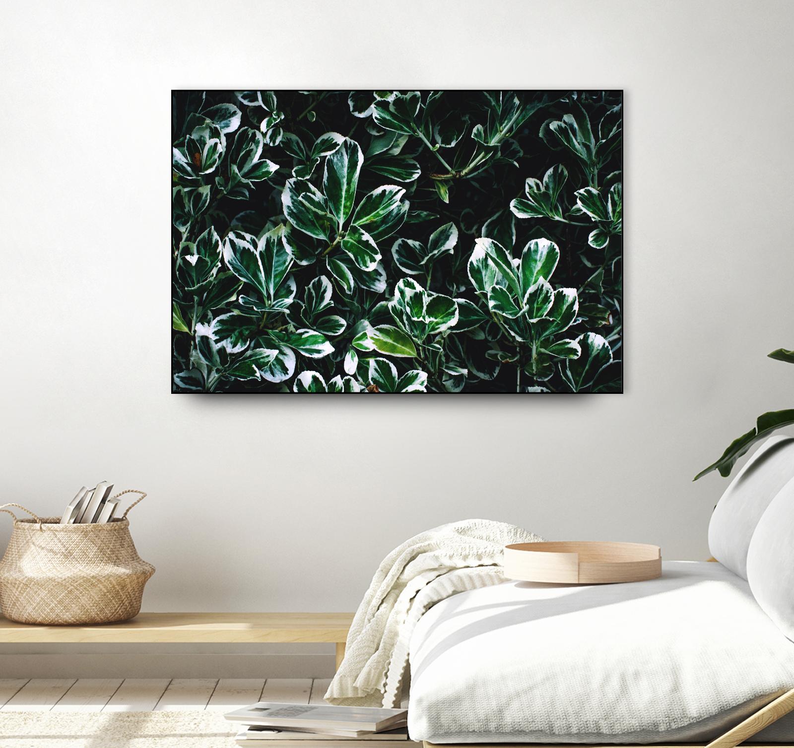 Colored leaves by Pexels on GIANT ART - white botany