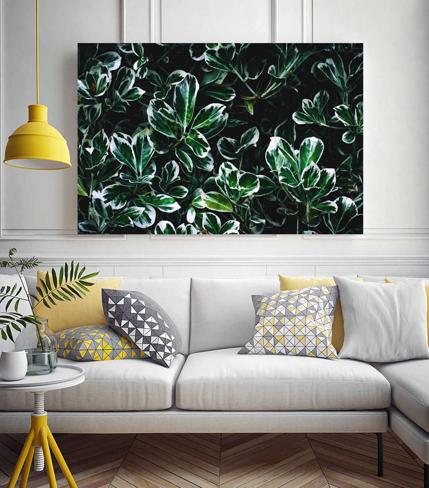 Colored leaves by Pexels on GIANT ART - white botany