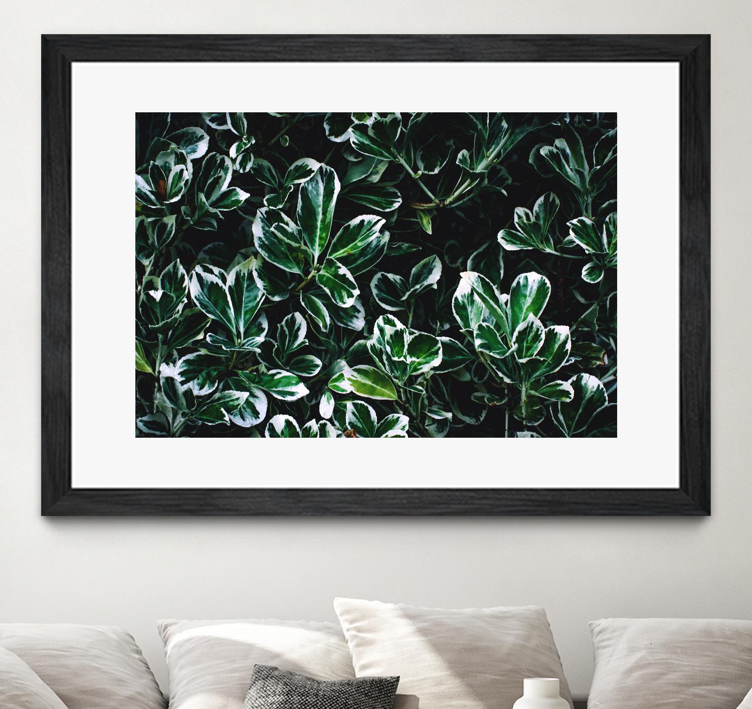 Colored leaves by Pexels on GIANT ART - white botany