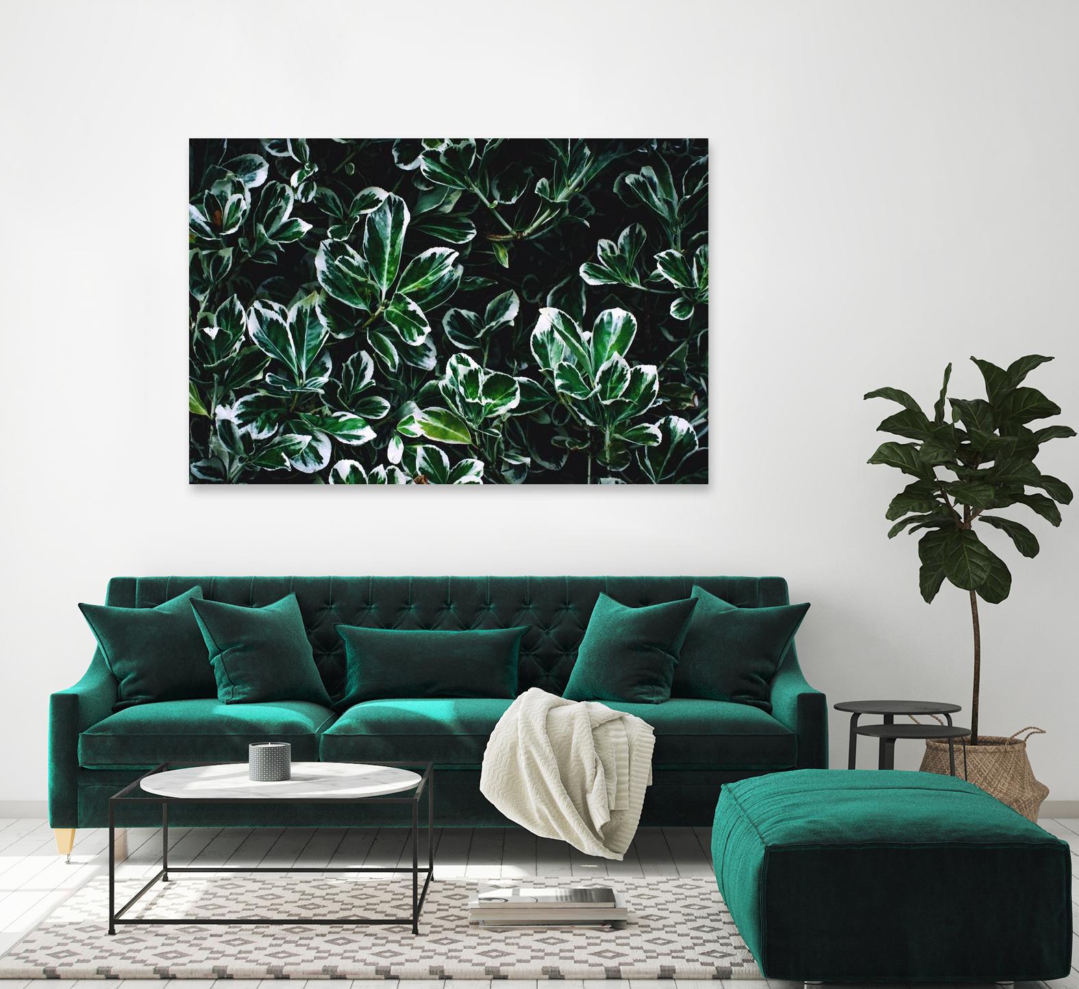 Colored leaves by Pexels on GIANT ART - white botany