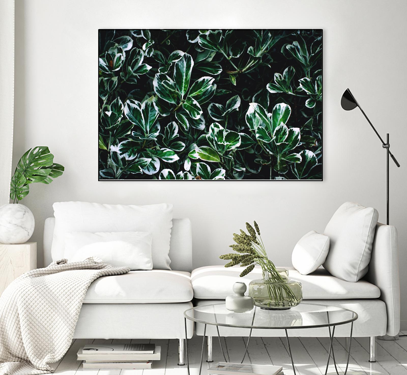 Colored leaves by Pexels on GIANT ART - white botany