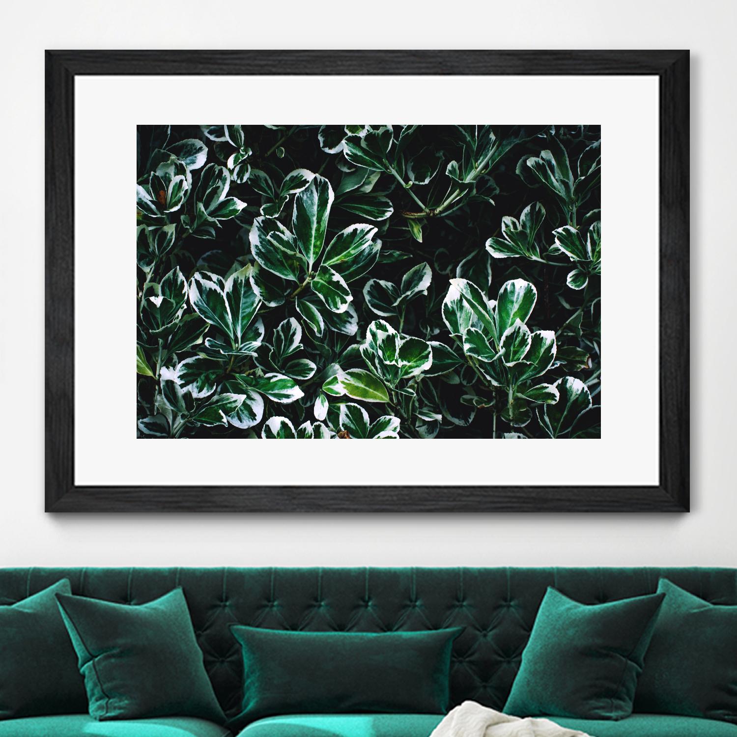 Colored leaves by Pexels on GIANT ART - white botany