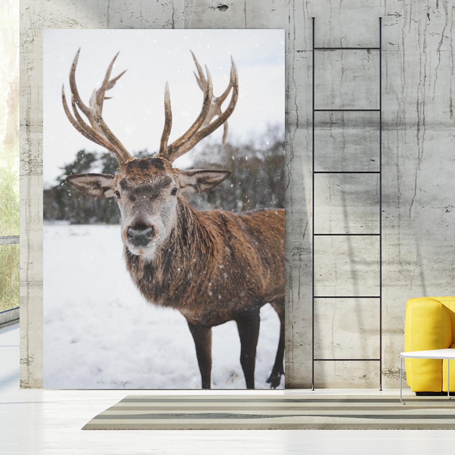 Deer by Pexels on GIANT ART - white animals