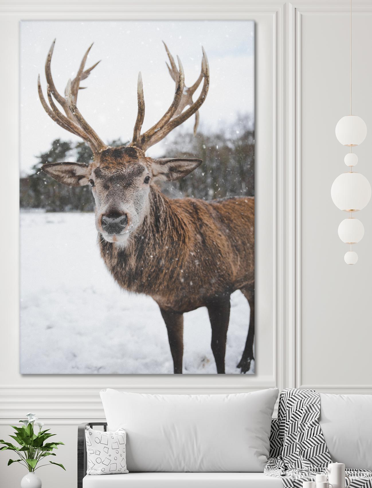 Deer by Pexels on GIANT ART - white animals