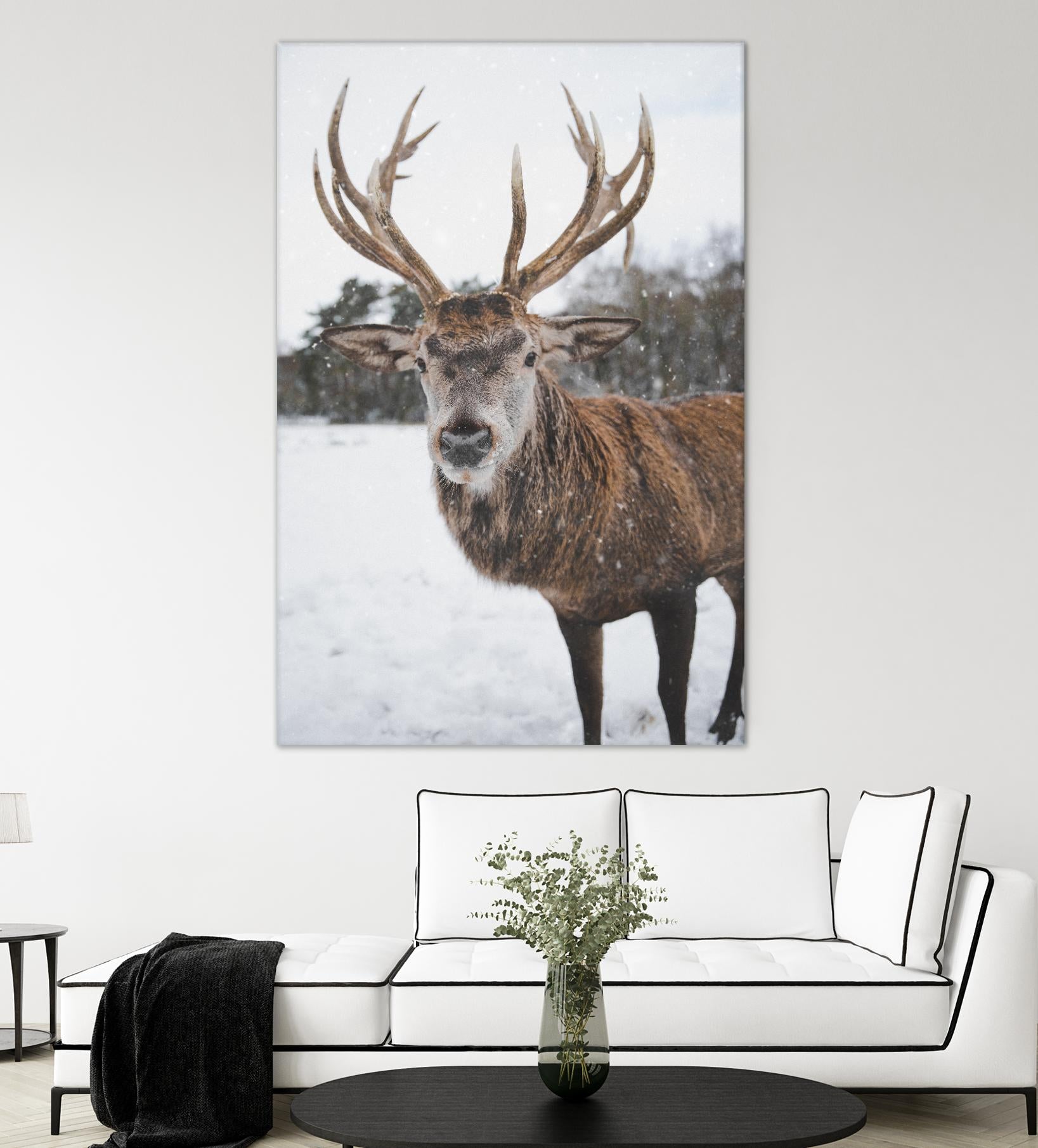 Deer by Pexels on GIANT ART - white animals