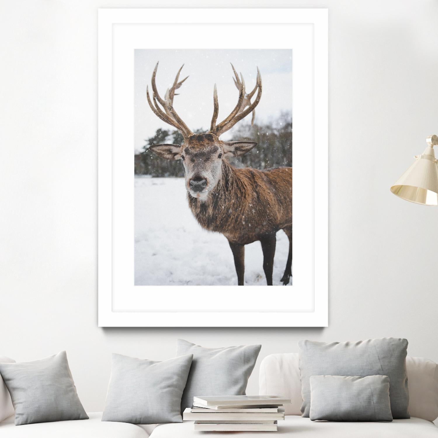 Deer by Pexels on GIANT ART - white animals