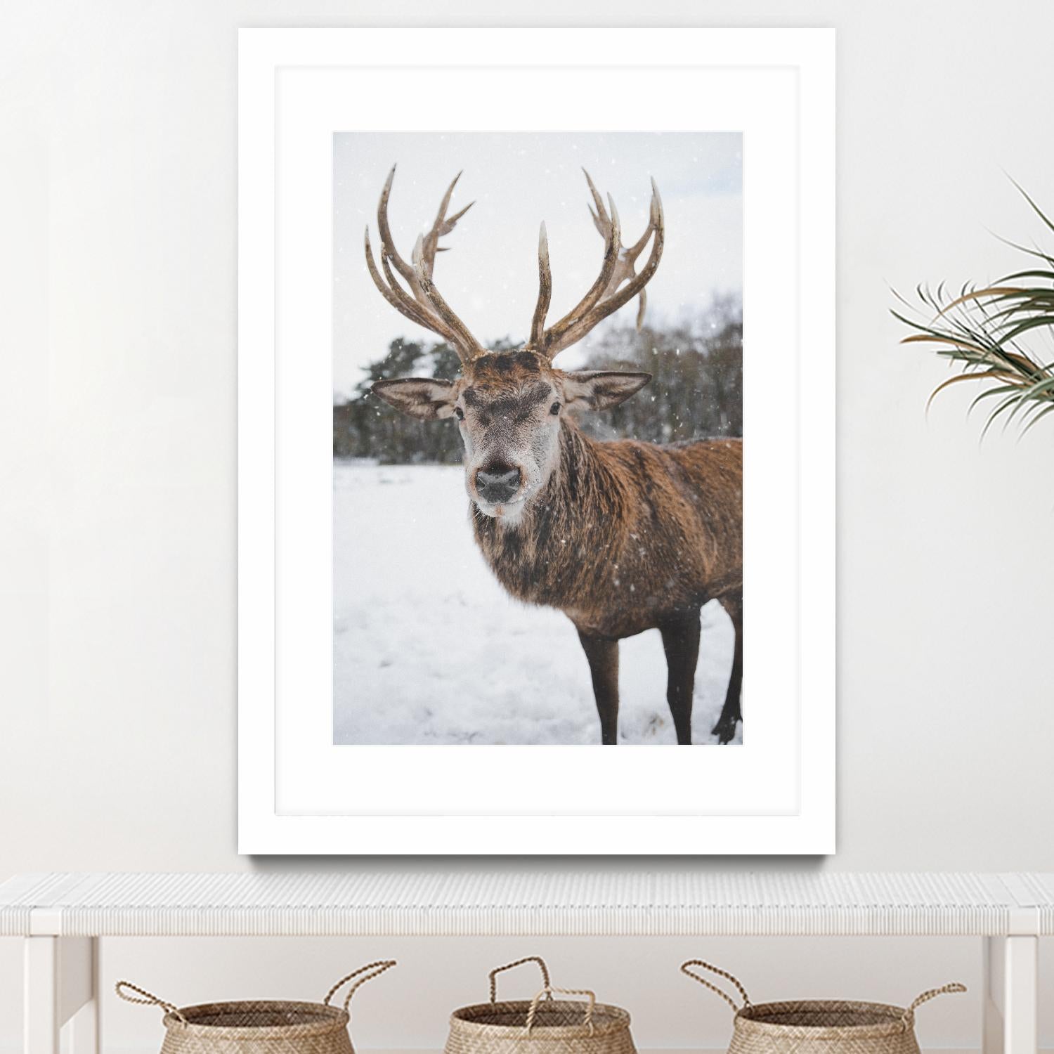 Deer by Pexels on GIANT ART - white animals