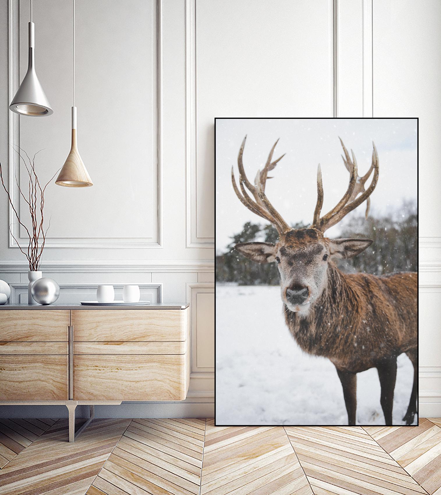 Deer by Pexels on GIANT ART - white animals