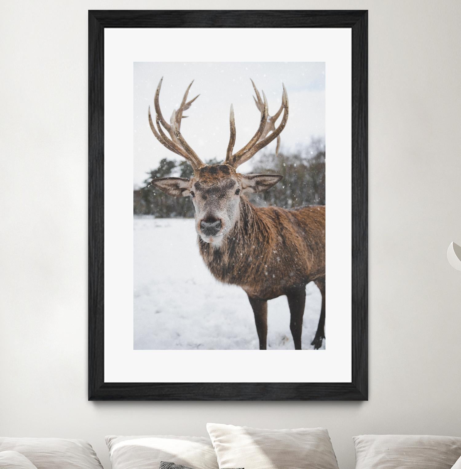 Deer by Pexels on GIANT ART - white animals