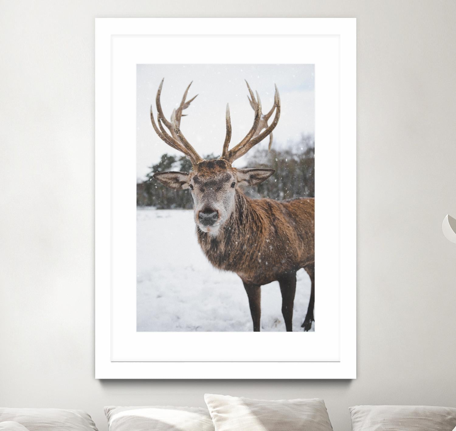 Deer by Pexels on GIANT ART - white animals