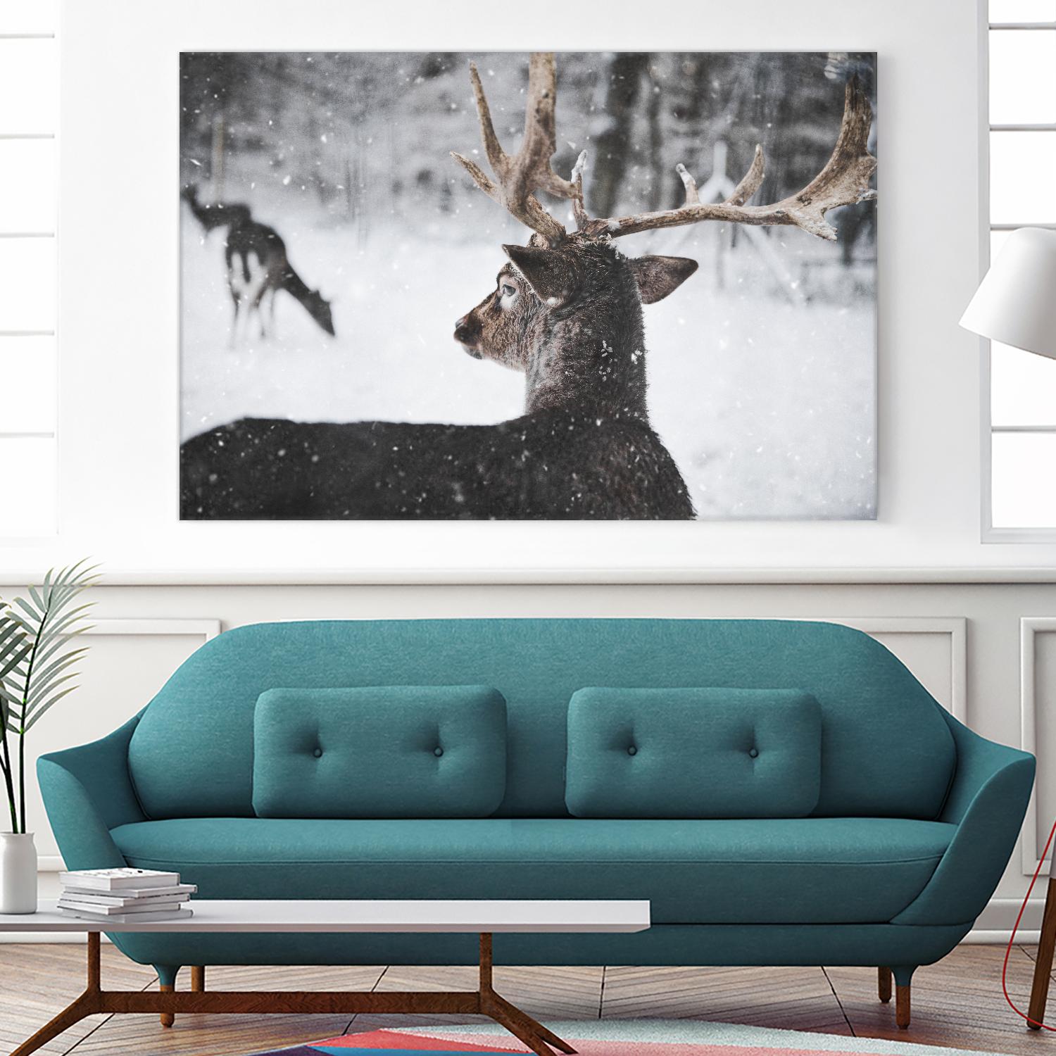 Deers by Pexels on GIANT ART - white animals