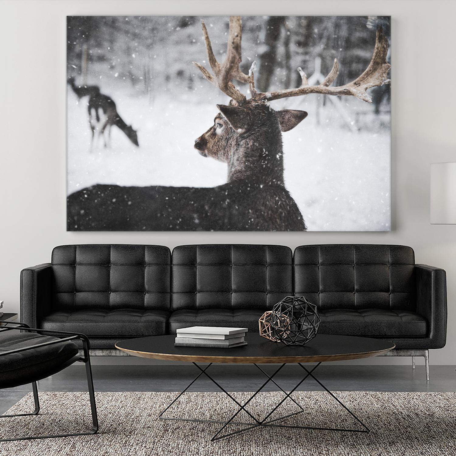 Deers by Pexels on GIANT ART - white animals