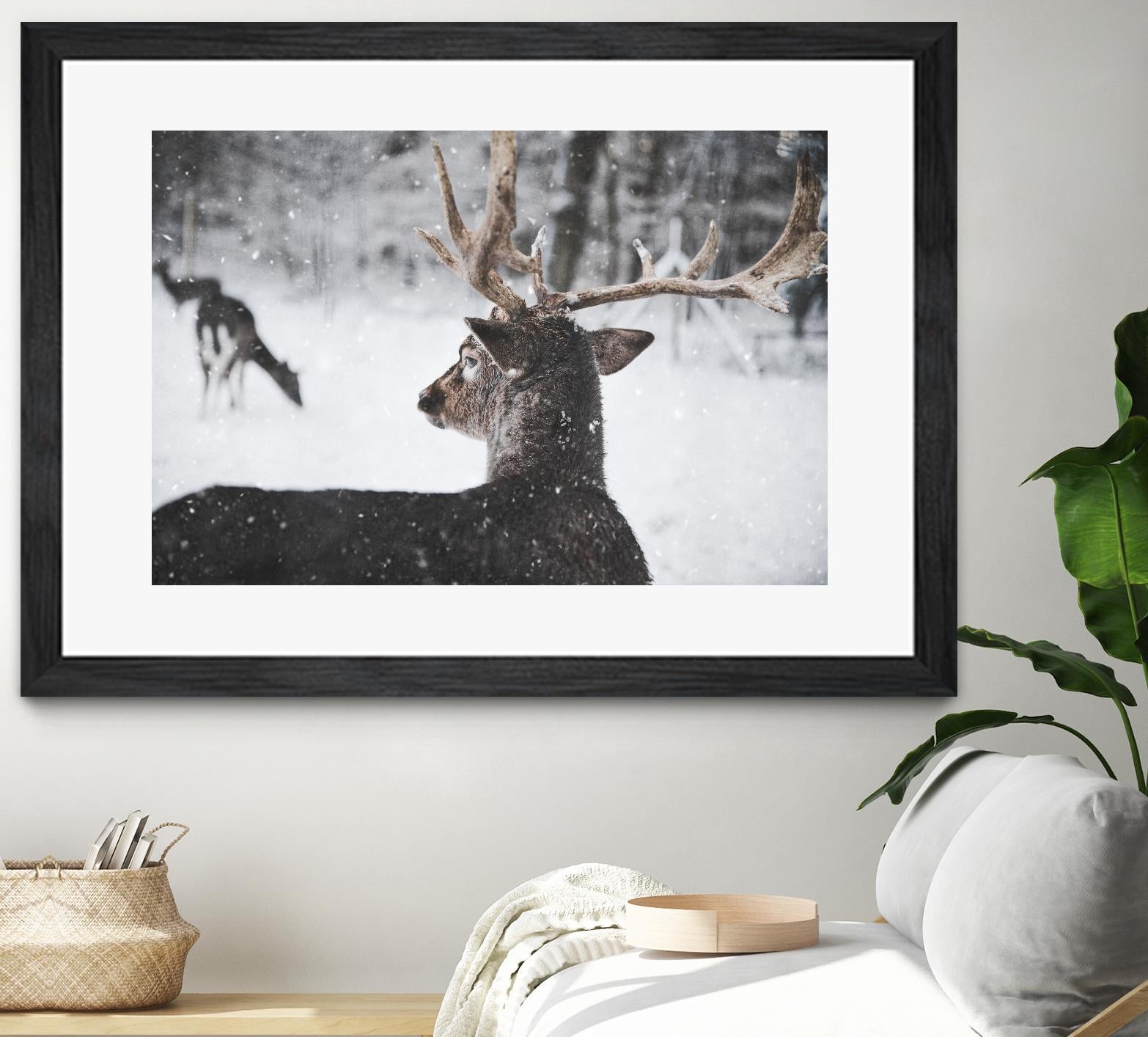 Deers by Pexels on GIANT ART - white animals