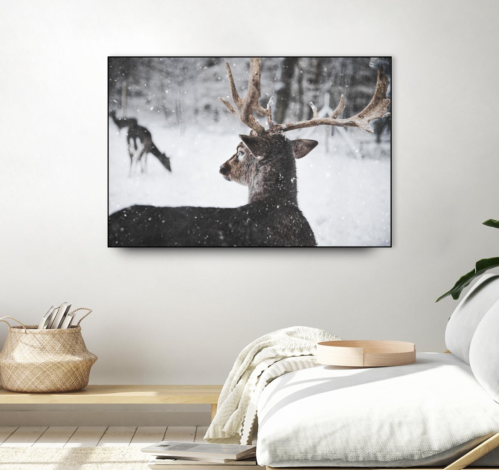 Deers by Pexels on GIANT ART - white animals