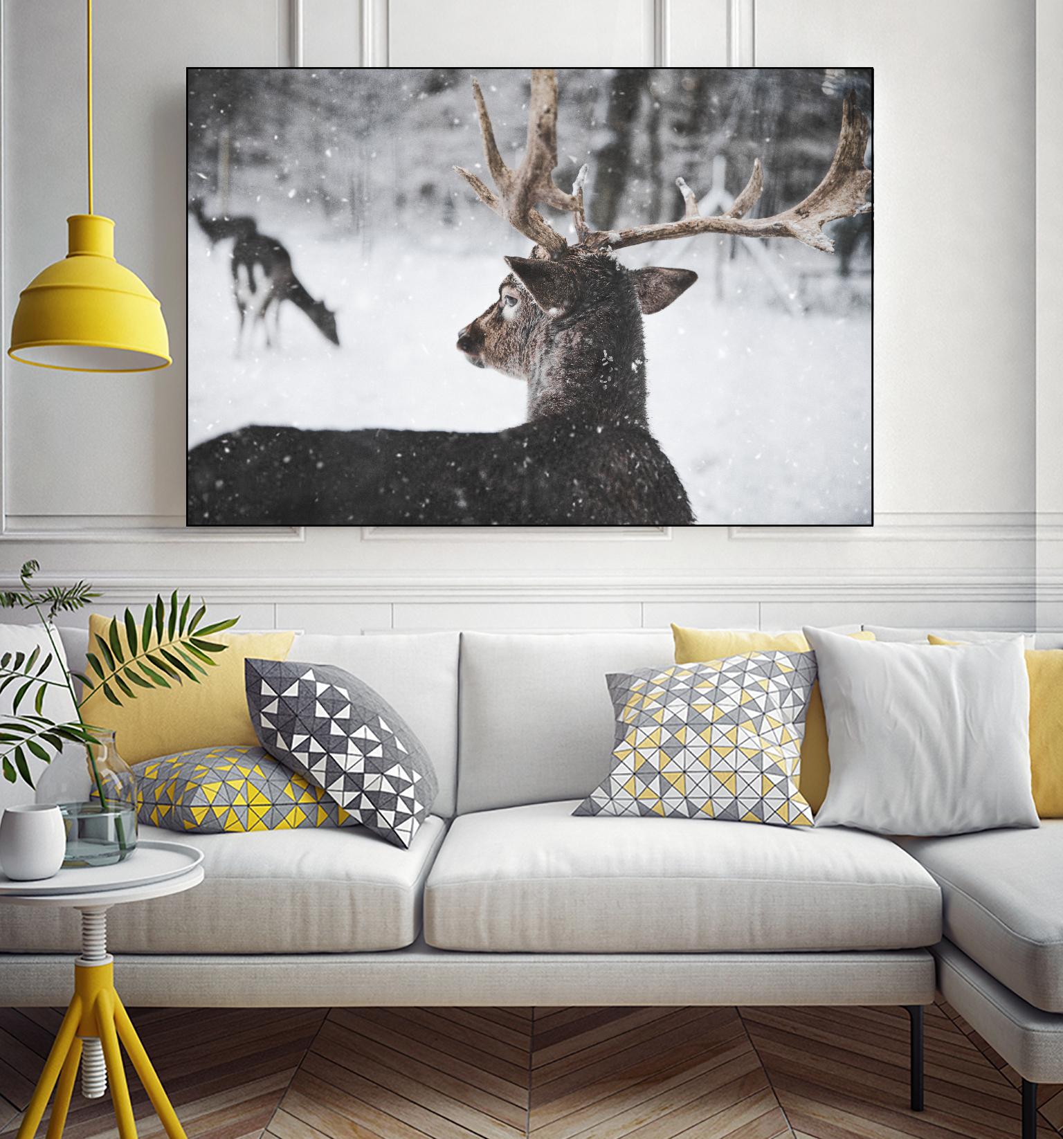 Deers by Pexels on GIANT ART - white animals