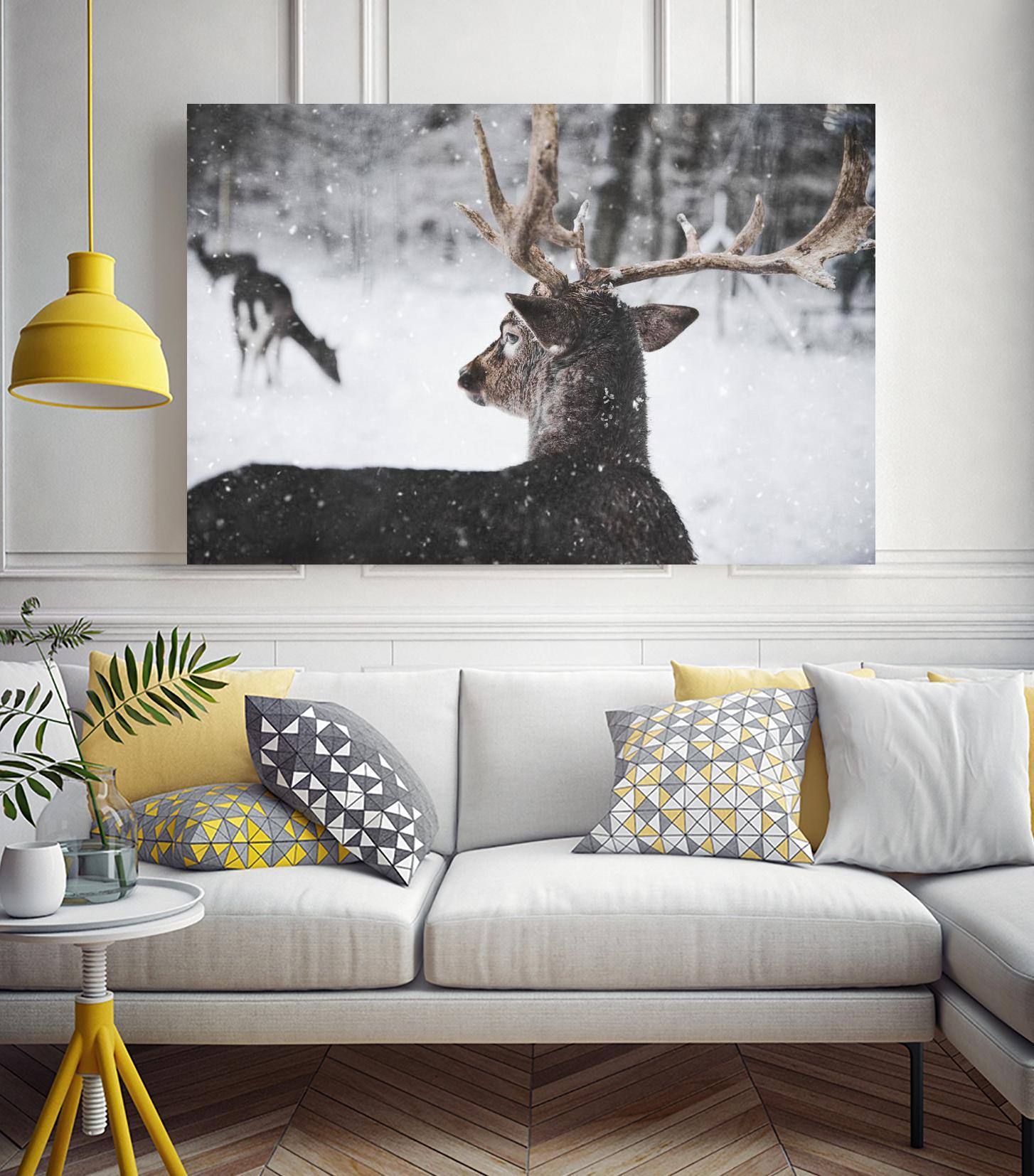 Deers by Pexels on GIANT ART - white animals