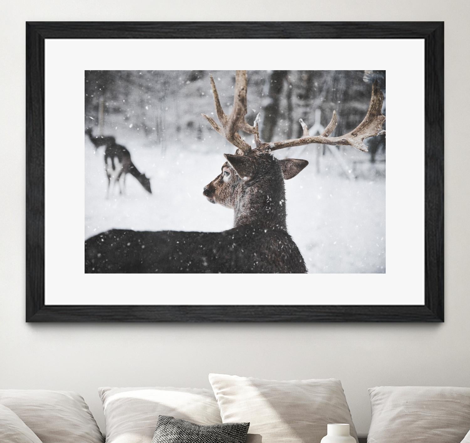 Deers by Pexels on GIANT ART - white animals