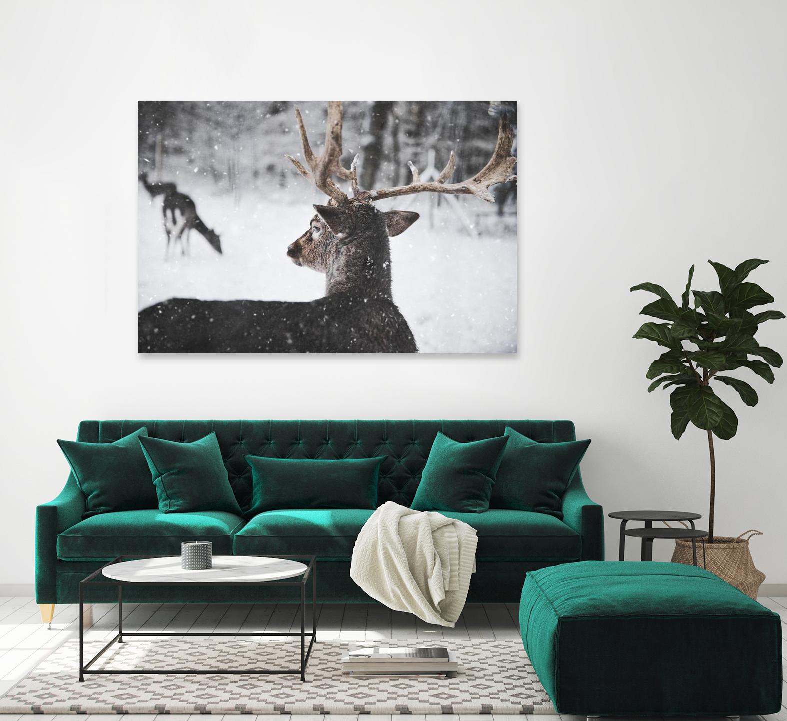 Deers by Pexels on GIANT ART - white animals