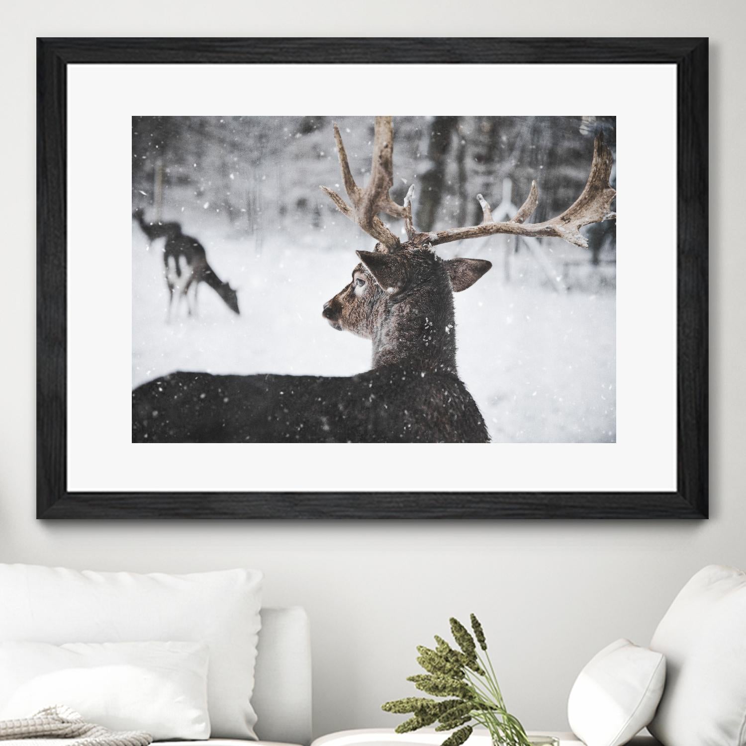Deers by Pexels on GIANT ART - white animals