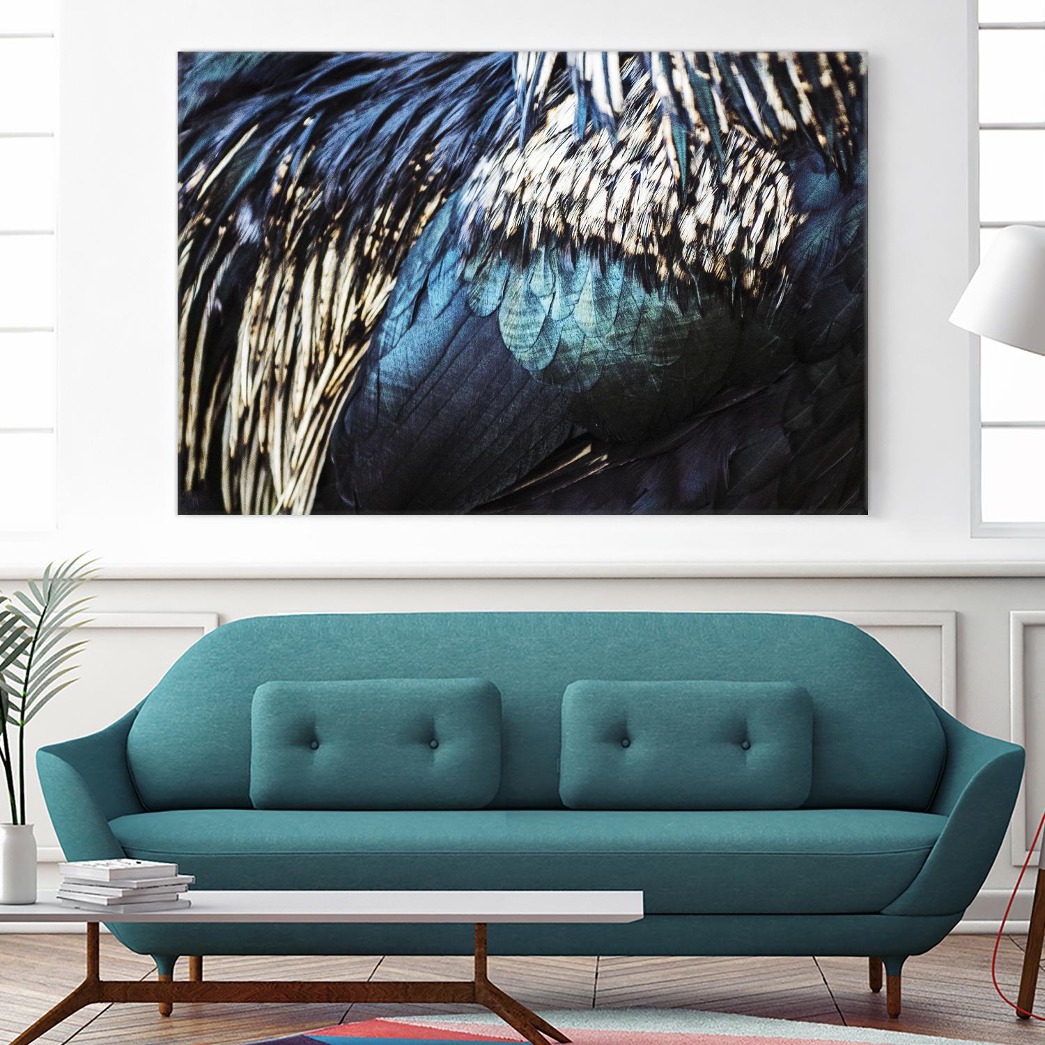 Blue feathers by Pexels on GIANT ART - white animals