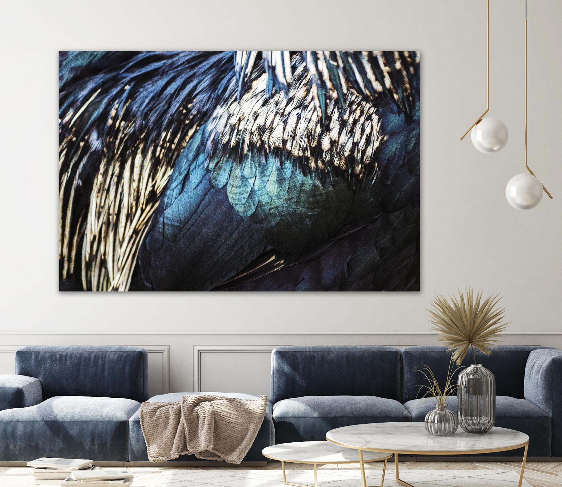 Blue feathers by Pexels on GIANT ART - white animals