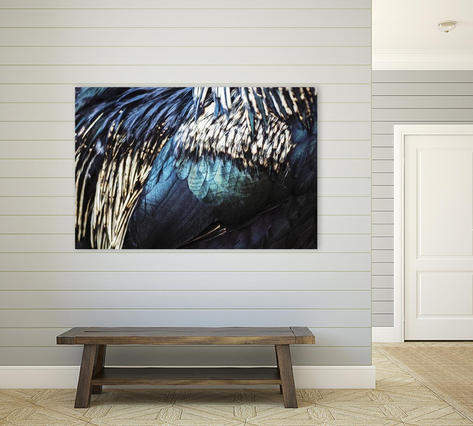 Blue feathers by Pexels on GIANT ART - white animals