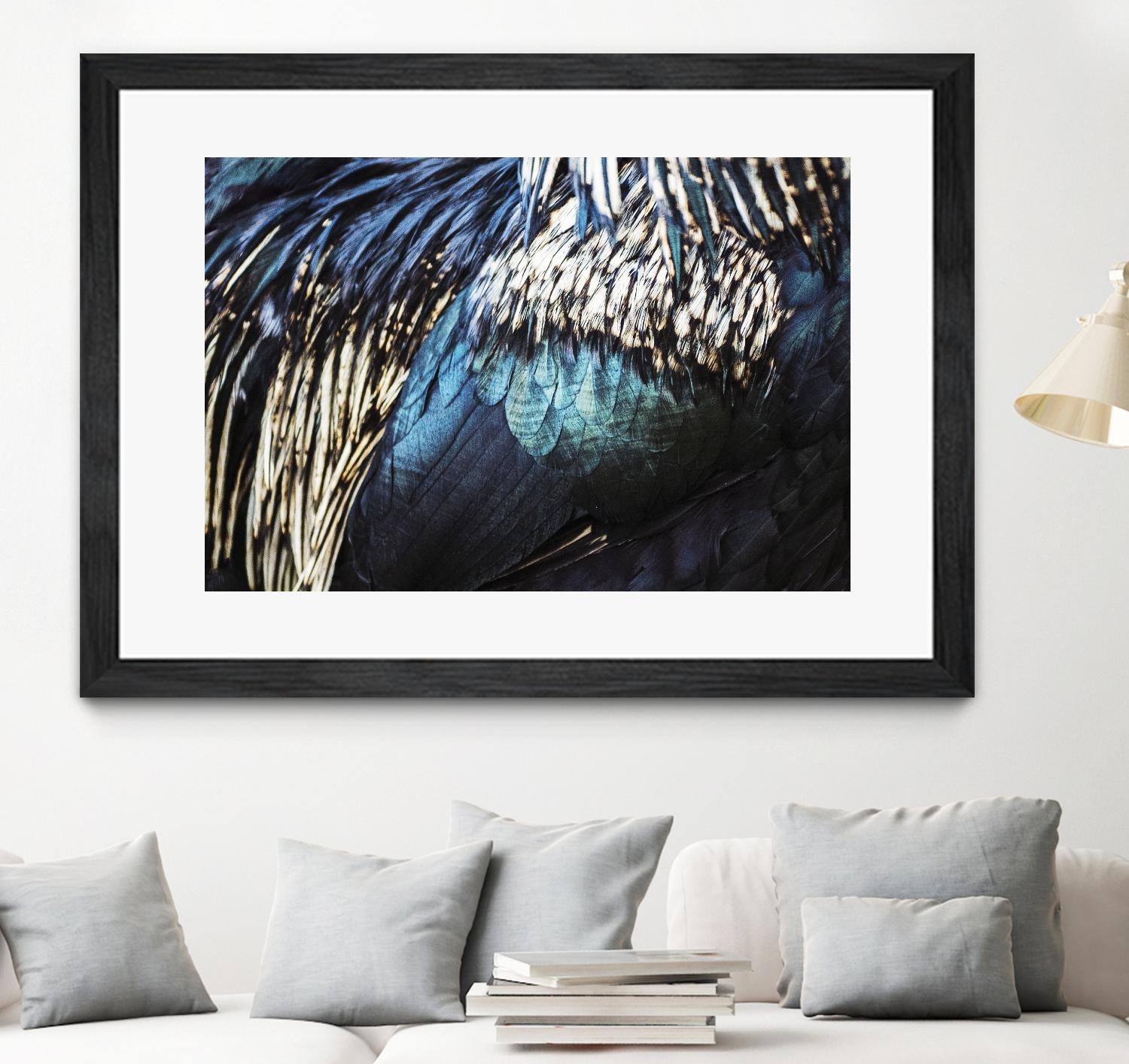 Blue feathers by Pexels on GIANT ART - white animals