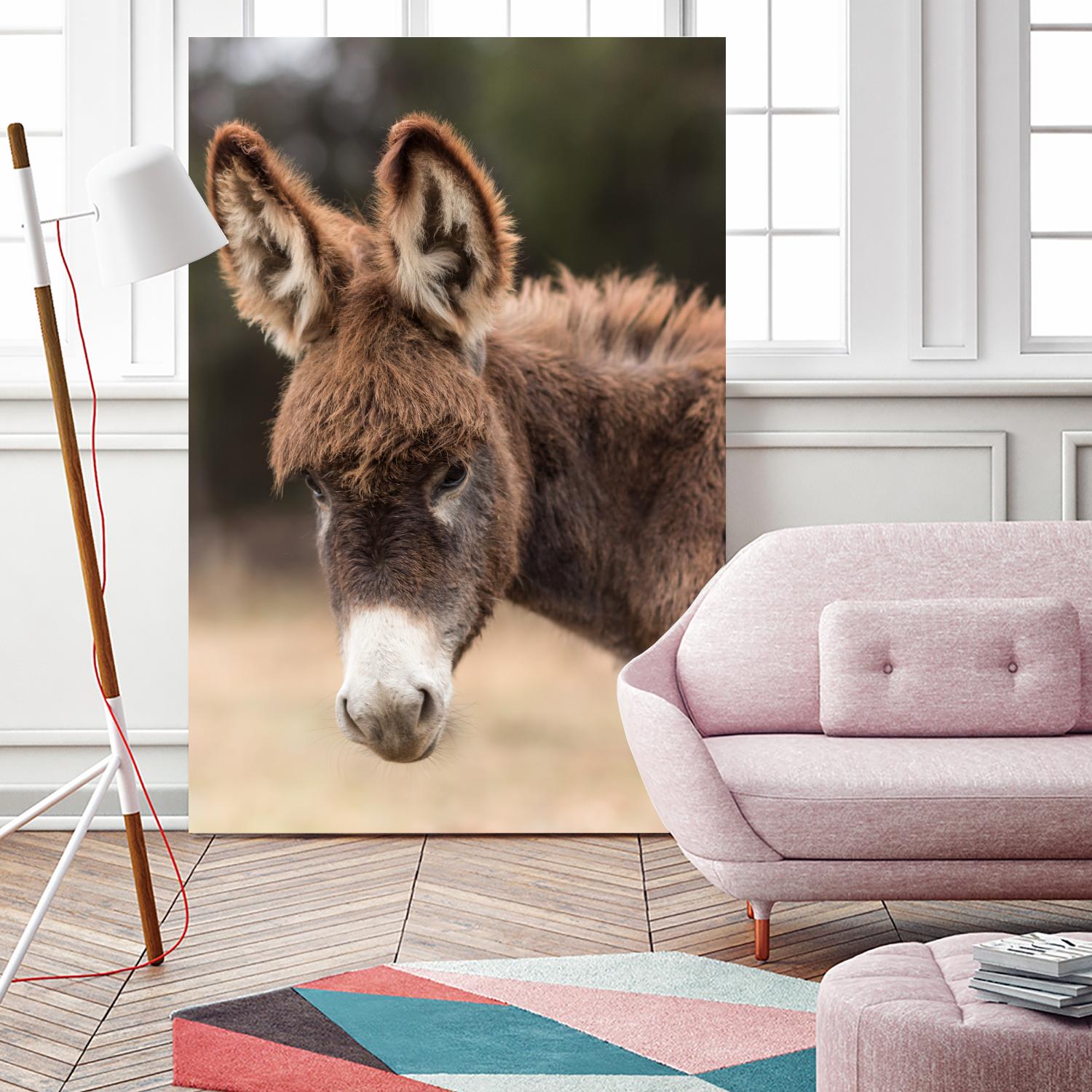 Donkey by Pexels on GIANT ART - white animals