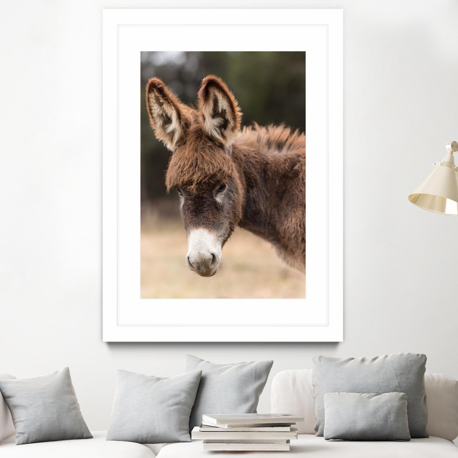 Donkey by Pexels on GIANT ART - white animals