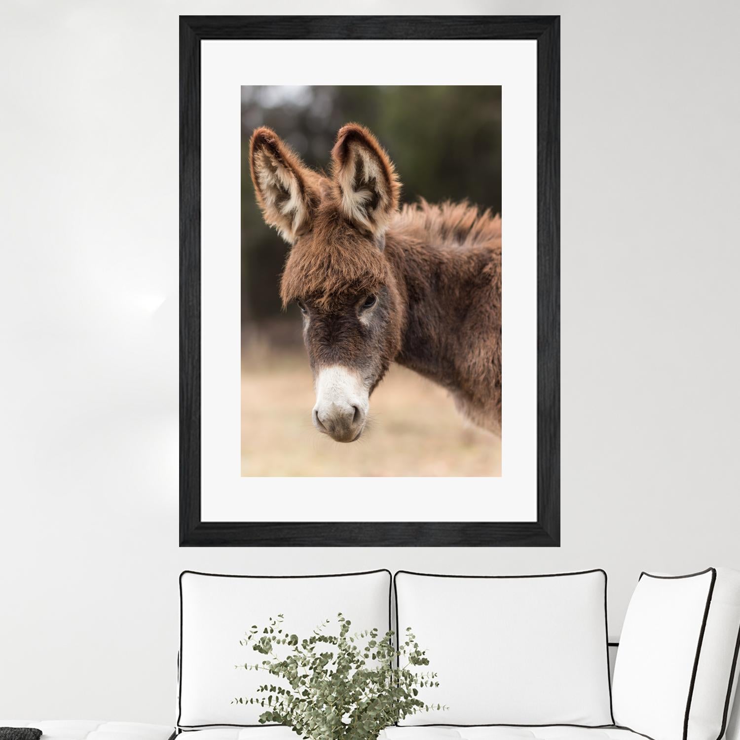 Donkey by Pexels on GIANT ART - white animals