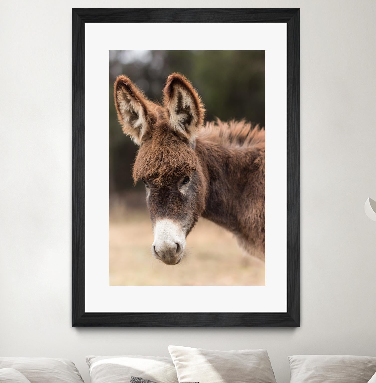 Donkey by Pexels on GIANT ART - white animals