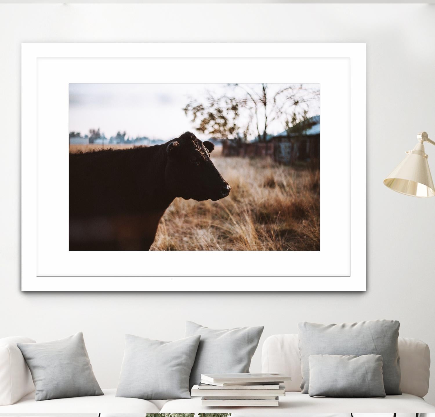 Cow by Pexels on GIANT ART - brown animals