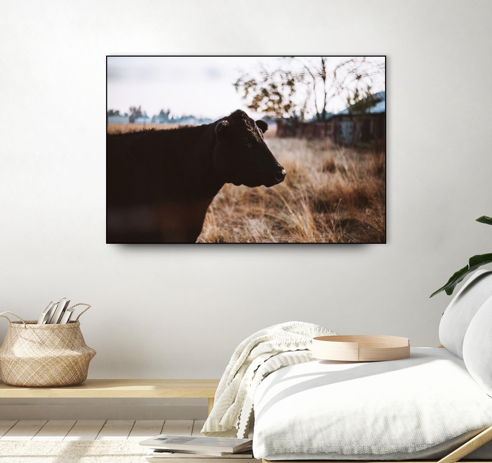 Cow by Pexels on GIANT ART - brown animals