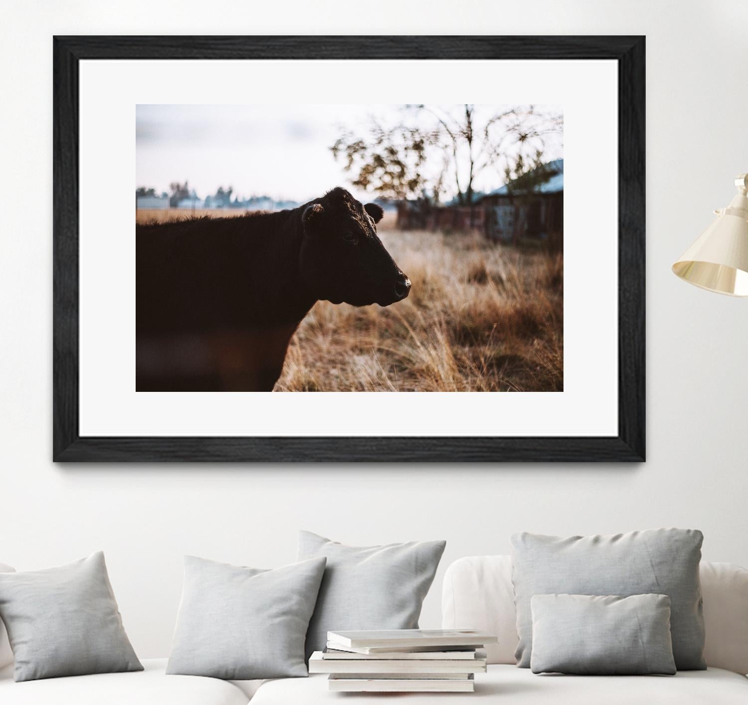 Cow by Pexels on GIANT ART - brown animals