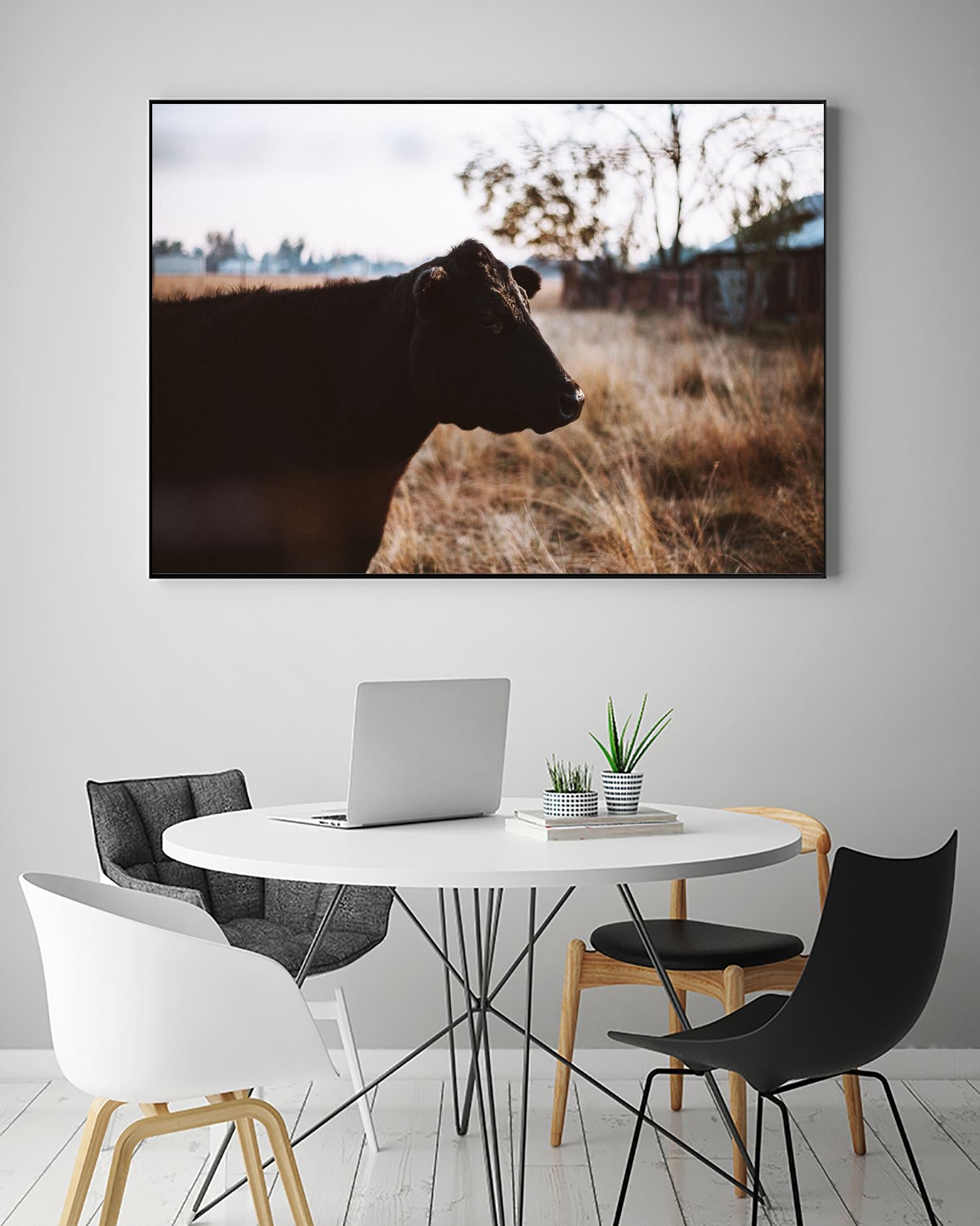 Cow by Pexels on GIANT ART - brown animals